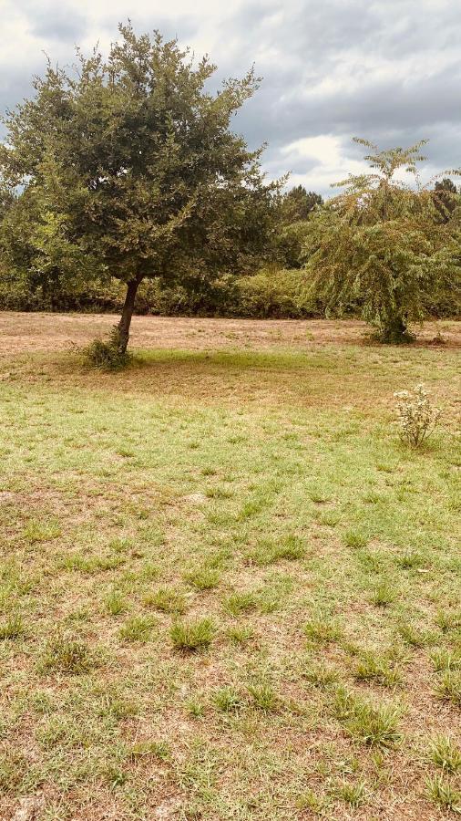 Petite Maison Dans La Prairie Cabanac-et-Villagrains Εξωτερικό φωτογραφία